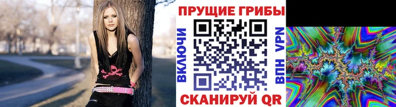 Псилоцибиновые грибы мицелий  где купить   Бакал 